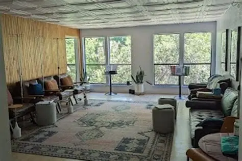 The clinic's main room: leather recliners along both sides, a patterned rug, and a wall of windows looking onto trees.